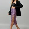 Sheer Lace Slip Skirt